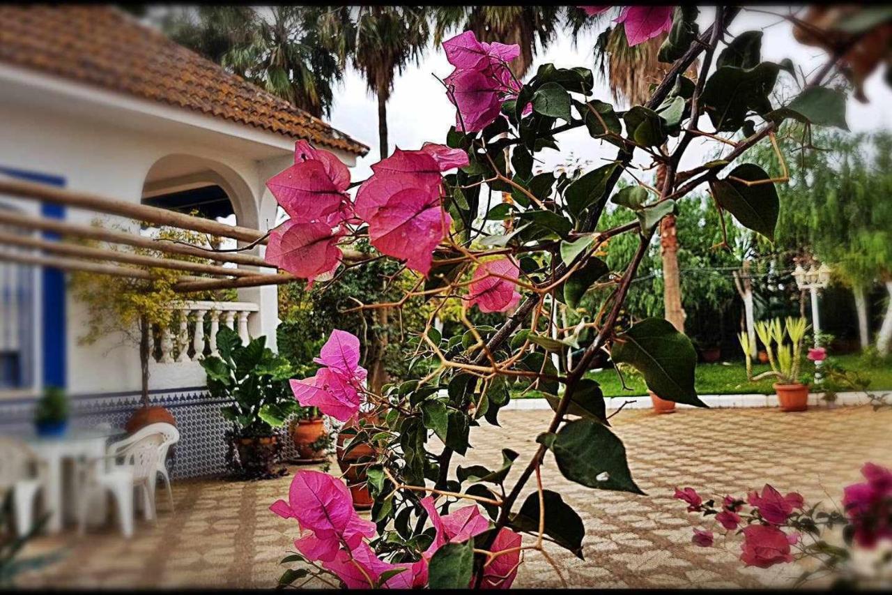 Casa Rural Finca Real De Niebla Exterior foto